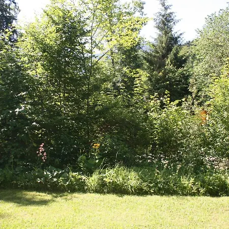 Daire Grunau Feriendomizil Grünau im Almtal